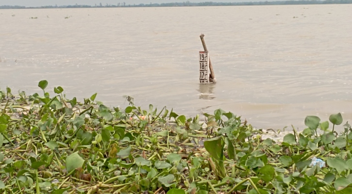 সিরাজগঞ্জে দ্রুত বাড়ছে যমুনার পানি 